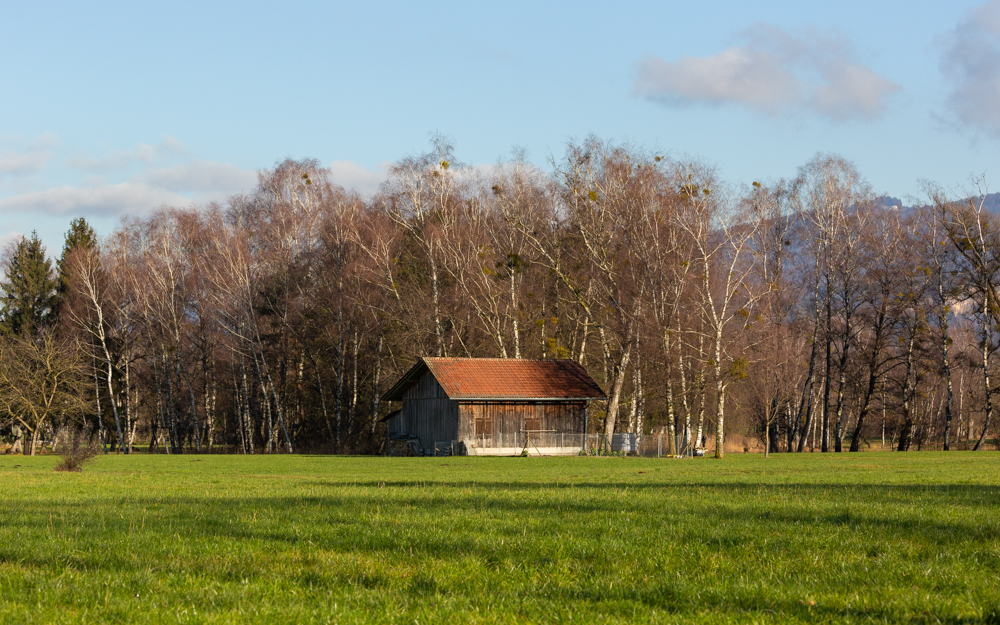 Lauteracherried im Jänner 16